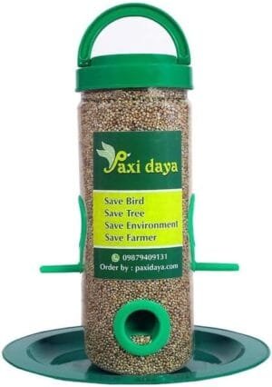 Window Bird Feeder Plastic Material Green Color Food Small and Medium Birds (Pack of 1)