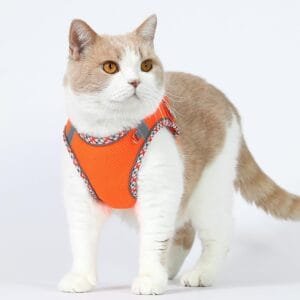 Dog Harness and Leash Set, No Pull Adjustable Reflective Pet Harness for Small Medium Dogs, Step in Vest Harness Easy Walk Dog Harness Outdoor Hiking Training for Small Medium Dogs, Cats(Orange, S)