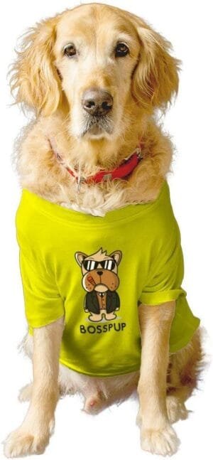 Ruse- Basic Summer Dog T-Shirt BOSSPUP Printed Pets Crew Neck Half Sleeves Shirt/Apparel/Clothes/Tees Gift for Dogs(Yellow)/XX-Small (Chihuahuas, Papillons)