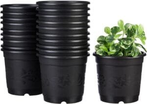 Kraft Seeds Seedling Pots – Pack of 20 (Black, 6×5.5inches / 15x14cm) | Seedling Cups for Germination | Seedling Pots with Draining Holes | Plastic Nursery | Pots to Grow Small Sapling