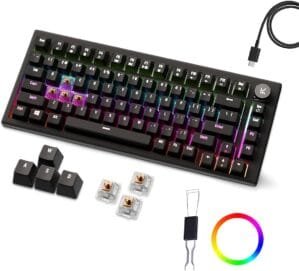 Kreo Hive RGB Gaming Keyboard | 75% Tenkeyless Wired Mechanical Keyboard with RGB LED Backlight Brown Switches & All Black Key Caps | Detachable USB Type C Cable