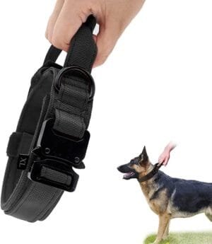 Qpets® Dog Collar Adjustable Nylon Tactical Dog Collar with Strap Handle Dogs Training Collar Quick Release Metal Buckle for Small Medium Large Dogs(Black,XL,19.6”-23.2”/50-59cm)