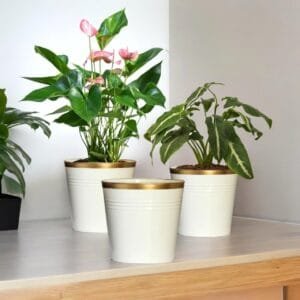 7 inches Shiny Metal Planters for Living Room, Flower Pots for Home Decoration, Tree Pots for Indoor Outdoor Garden, Balcony Decor Plant Pot (White, Pack of 3, EC19004-07)