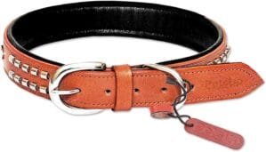 PetsUp Padded Leather Dog Collars (Medium, Designer Collar- TanBlack)