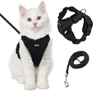 Buraq Cat Harness Wth Leash for Walking | Escape Proof | Air Mesh Fabric | Soft Vest Harness | Easy Control | Adjustable & Durable | for Medium & Large Cats (S, Black)
