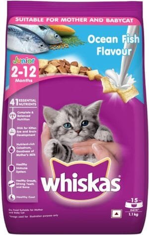 Whiskas Kitten Cat Food Junior Ocean Fish, 1.1 kg Pack