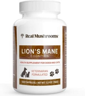 Real Mushrooms Lions Mane Pet Support Mushroom Supplement – Cat Dog Vitamins and Supplements for Cognition Memory Vet Approved Complex Capsules 120ct Gluten-Free, Non-GMO