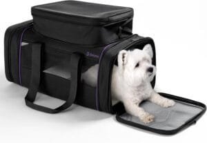 DELOMO Pet Carrier – Airline Approved Cat and Dog Carrier for Small Dogs, Small Cats up to 15 Lbs – Durable Dog Travel Bag, Expandable, Comfortable, Fits Major Airlines (17″ x 11″ x 8.6″)