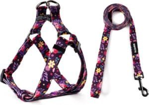 QQPETS Dog Harness Leash Set Adjustable Heavy Duty No Pull Halter Harnesses for Small Medium Large Breed Dogs Back Clip Anti-Twist Perfect for Walking