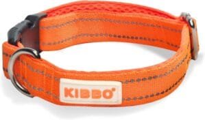 Premium Double Padded Reflective Dog Collar | Small to Medium Size Pet Breeds | Ultra Soft Mesh, Nylon, Adjustable Length, Lightweight | Sturdy D-Ring and Buckle | Orange (Medium)
