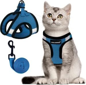 FAYOGOO Cat Harness, Cat Leash and Harness Set for Walking Escape Proof, Harness for Small Cats/Small Dogs, Large Kitten/Puppy Harness and Leash, Harness for Cats S-XXL(Tranquil Teal, Medium)