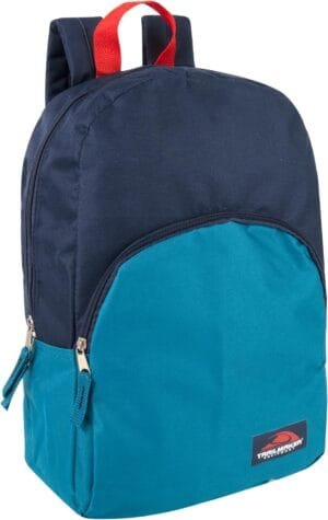 Color Block Backpacks for School Boys and Girls, 15 Inch Two Tone Backpack for Classroom, Work, Travel for Kids and Adults