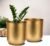 Metal Gold Flower Pot Garden Planters 4.3 Inch Pack 2 Indoor Plant Containers with Gold Powder Coating