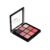 Ultimate Shadow Palette for Eyes, Shade-02, 9 g