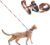 pidan Cat Harness and Leash Set, Cats Escape Proof – Adjustable Kitten Harness for Large Small Cats, Lightweight Soft Walking Travel Petsafe Harness((Multicolor-M Size)