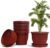 Flower Pot with Bottom Tray Set – Home Garden Office Plant Pot Balcony Flowering Planter (12-Inch, Brown, Pack of 10)
