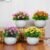 Dekorly® Artificial Flower Plants with White Pot | Flower Plants for Home Office Decor | Bedroom, Living Room, and Balcony Decor | Pack of 4