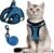 FAYOGOO Cat Harness, Cat Leash and Harness Set for Walking Escape Proof, Harness for Small Cats/Small Dogs, Large Kitten/Puppy Harness and Leash, Harness for Cats S-XXL(Tranquil Teal, Medium)