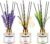 Soul & Scents Lavender, Vanilla and Lemongrass Reed Diffuser Set-120 ml with 6 Sticks Each | Fragrance for Office, Home, Gym and Yoga | Mood Enhancer (Combo Pack of 3)